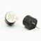 //jlrorwxhjiilll5q.ldycdn.com/cloud/lmBqoKliRloSqqlplrnq/3V-5V-2-3khz-85dB-Magnetic-Buzzer-Used-For-Door-Bell-Security-60-60.jpg